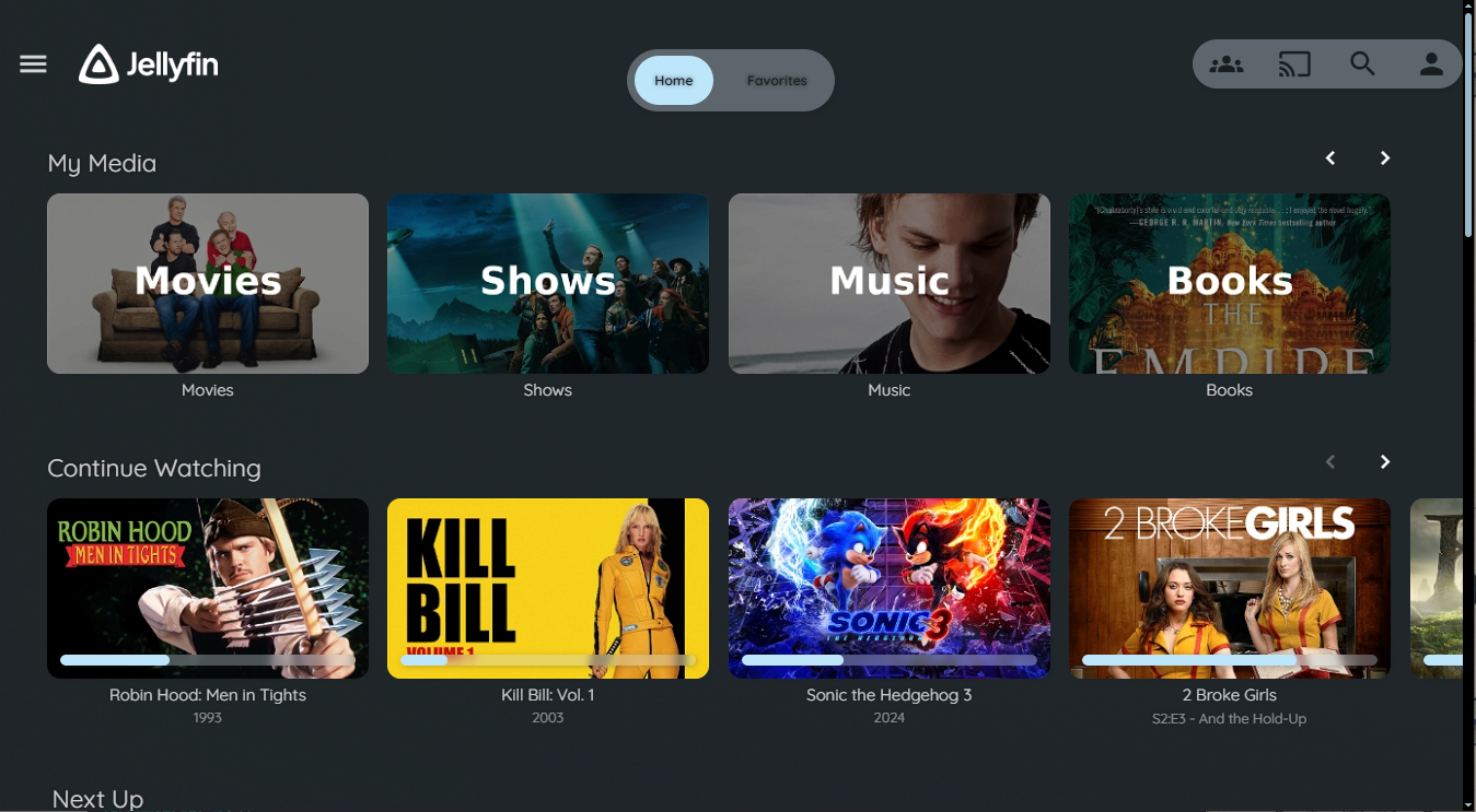 Jellyfin interface